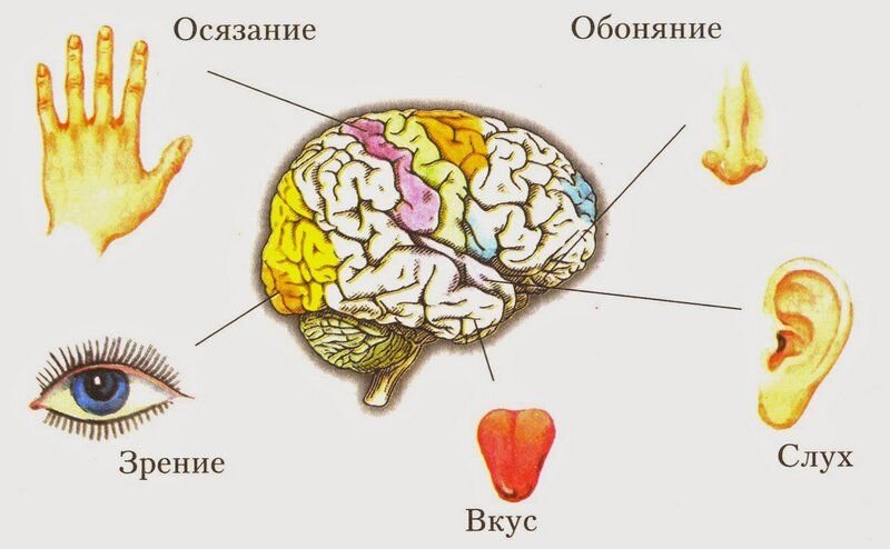 Политические взгляды в транс* сообществе