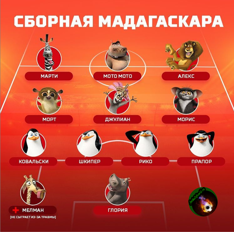 Сборная зверей Мадагаскара по футболу.