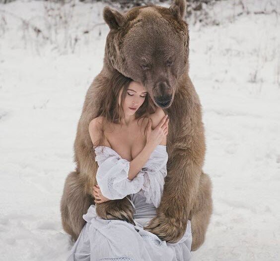 Очередная подборка интересных видео про животных на канале: «Эти Забавные Животные»!!! #юмор #животные #кошки #подборки #животное