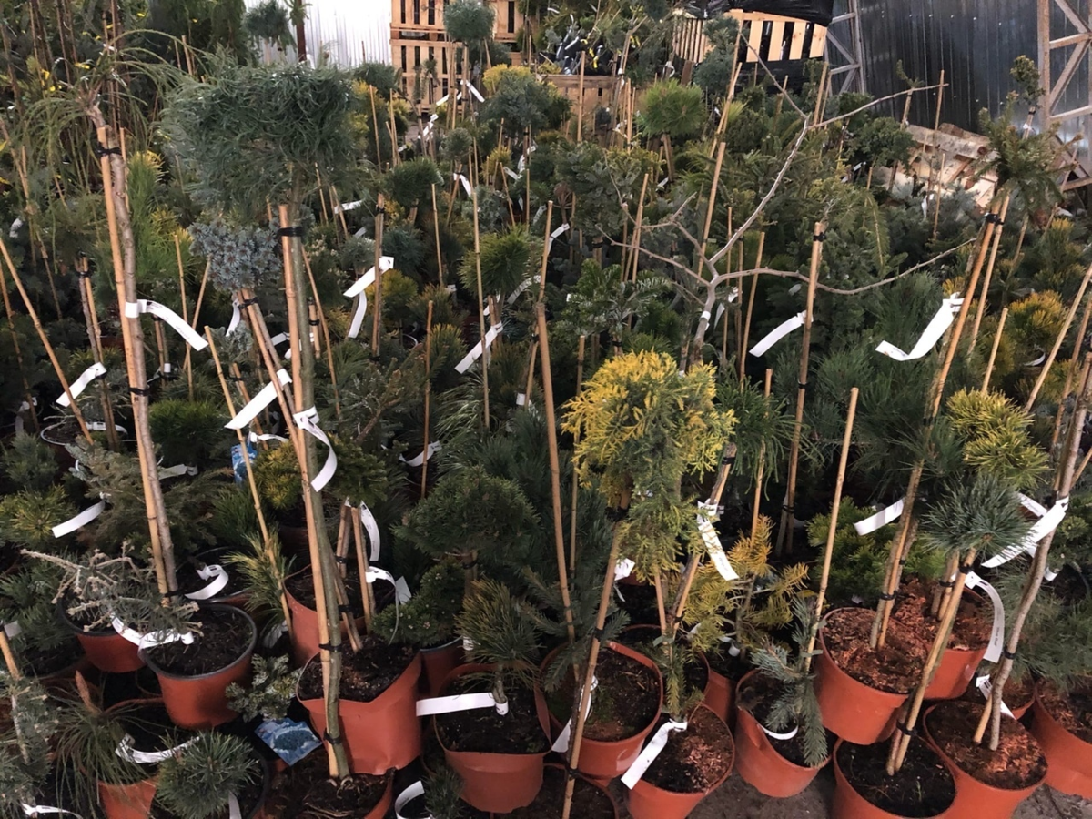 На складе "Плантшипа" в апреле