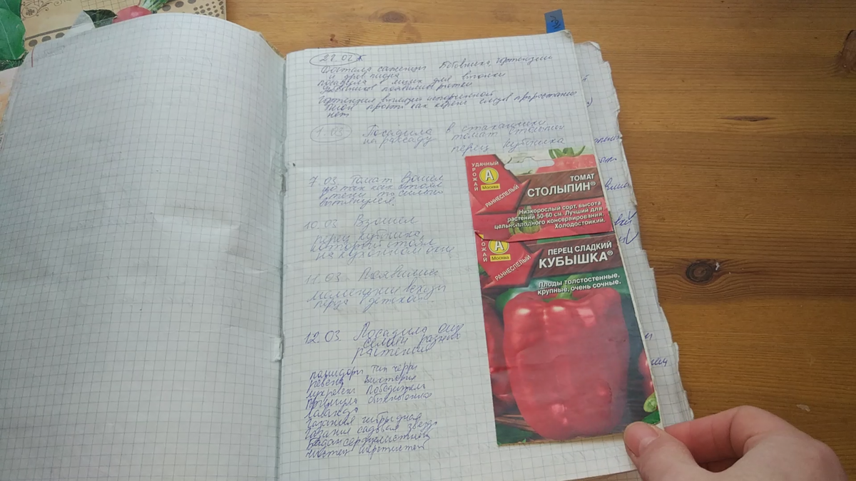 Первые записи в дневнике