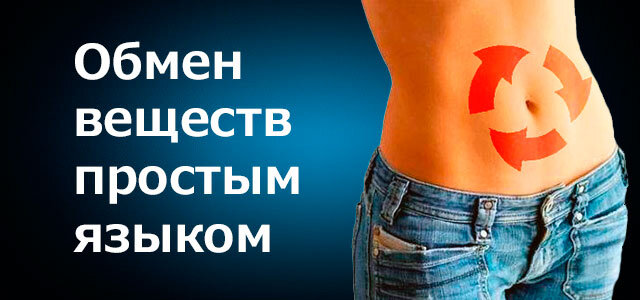 Источник: Яндекс Картинки.