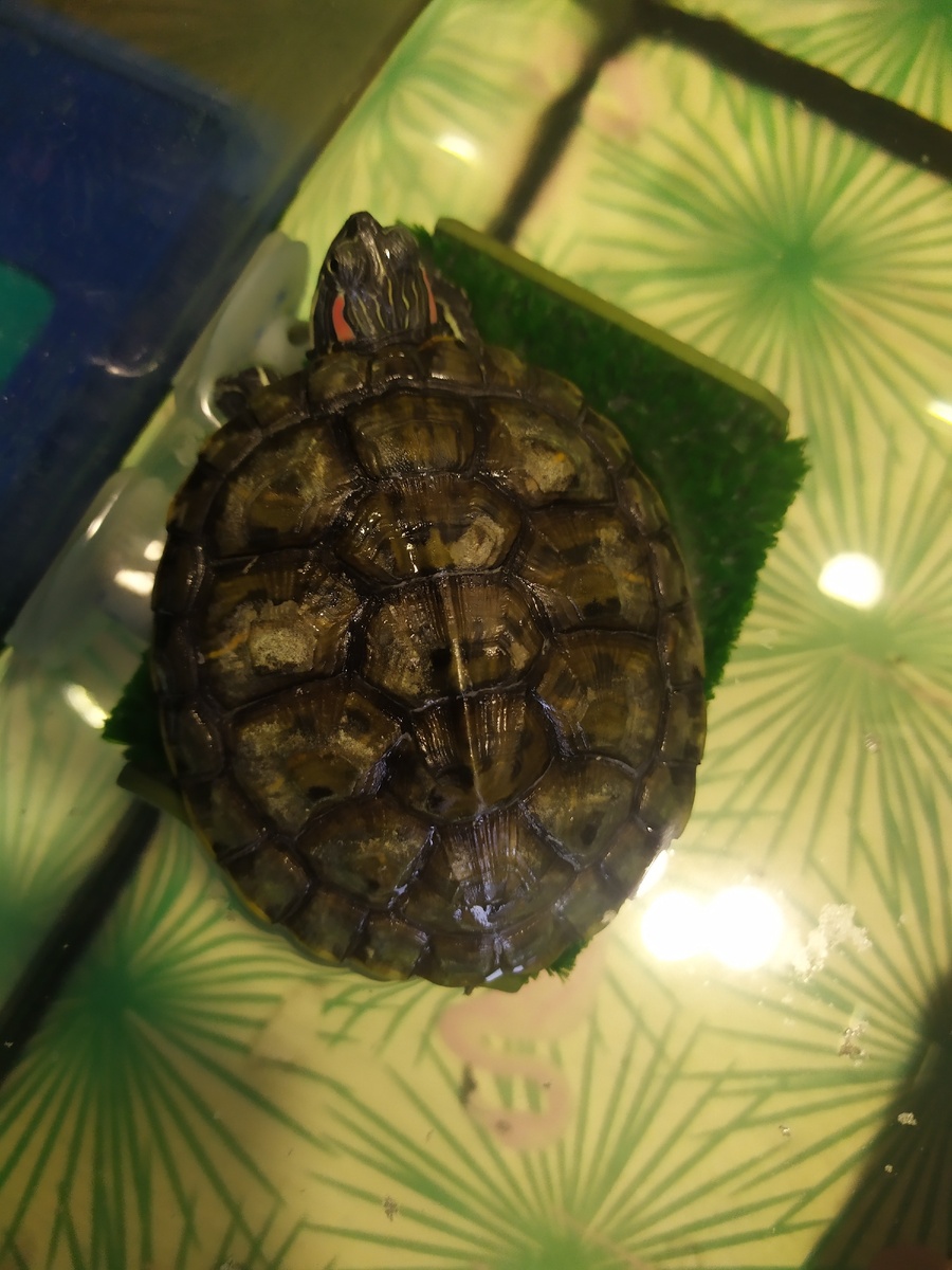 И после процедур. 