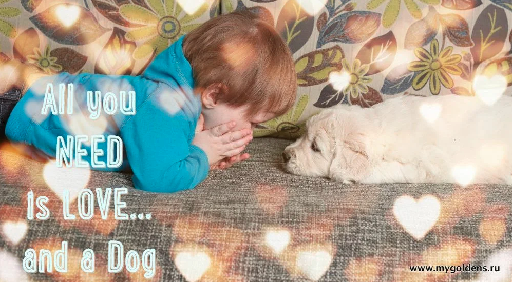 Наверное, каждый ребенок хотя бы раз в жизни просил завести собаку. "Всё, что вам нужно - это любовь... и собака"
