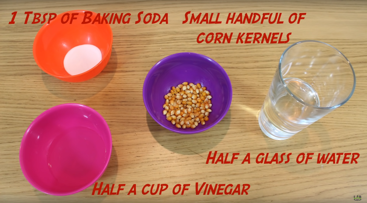 Фото взято из открытого источника