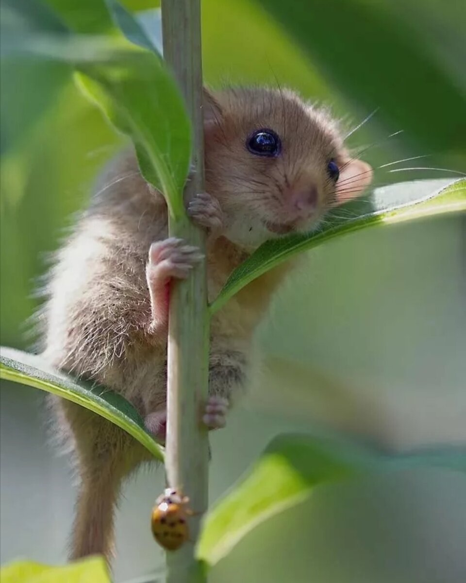 Фото взято на ресурсах интернета 