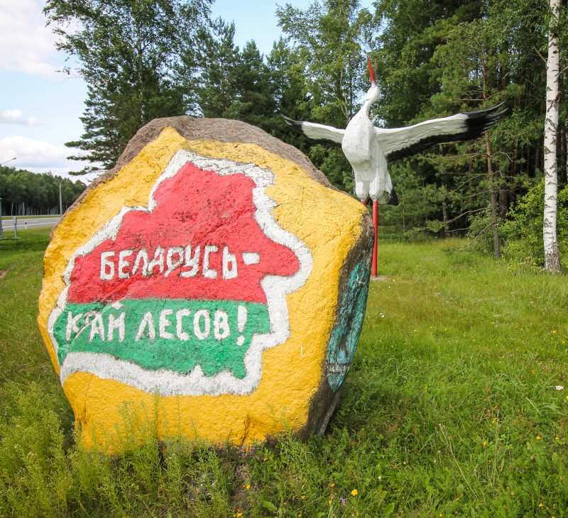 Беларусь - край лесов!