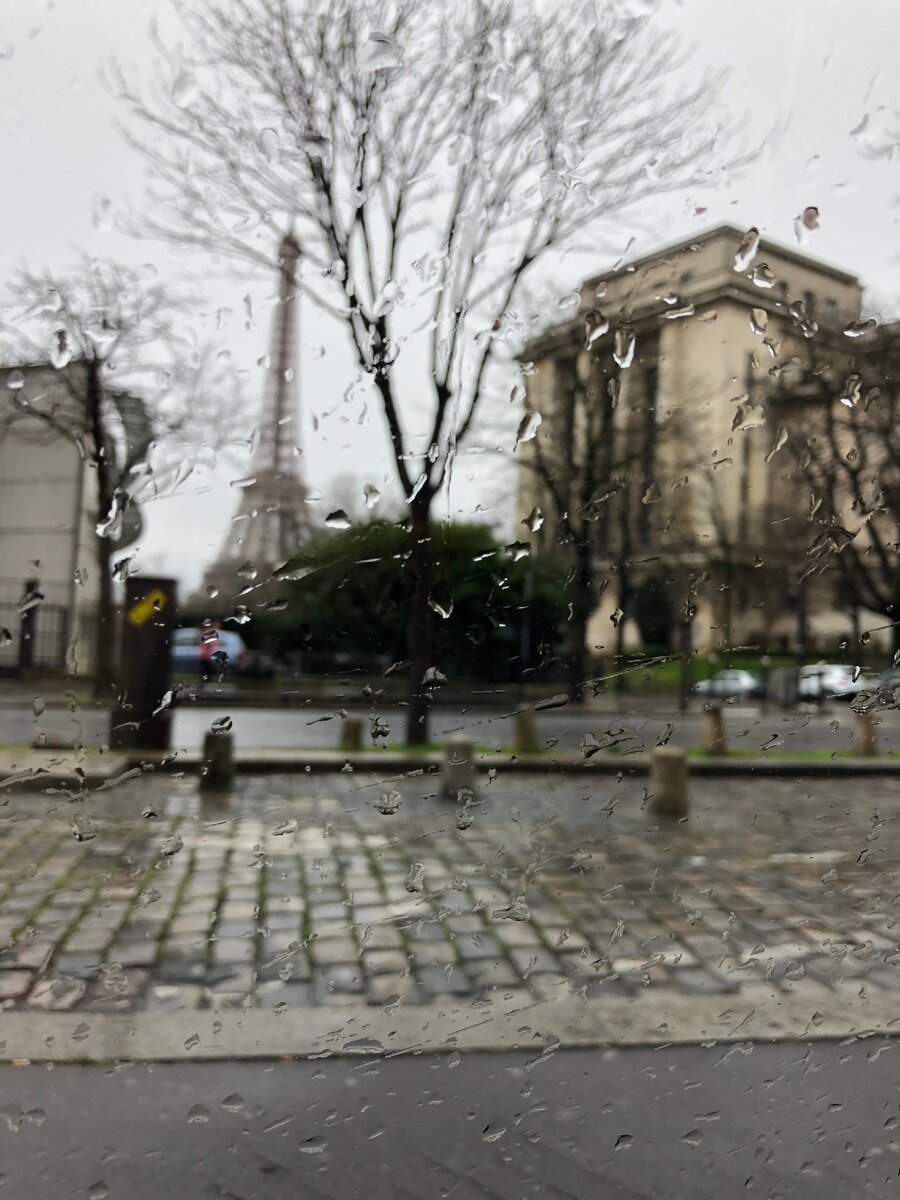 Дождь придуман для того, чтобы мы могли жить.