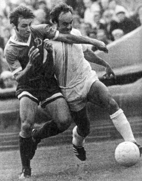 фото из интернета