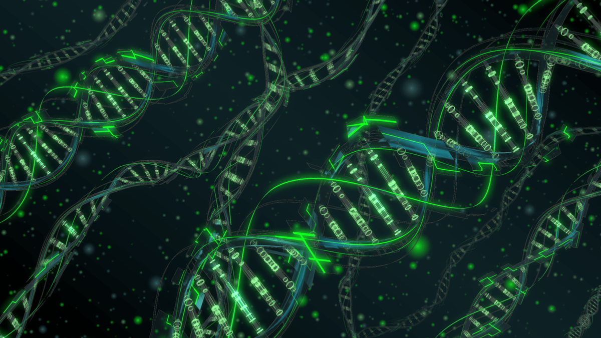 Яндекс.Картинки