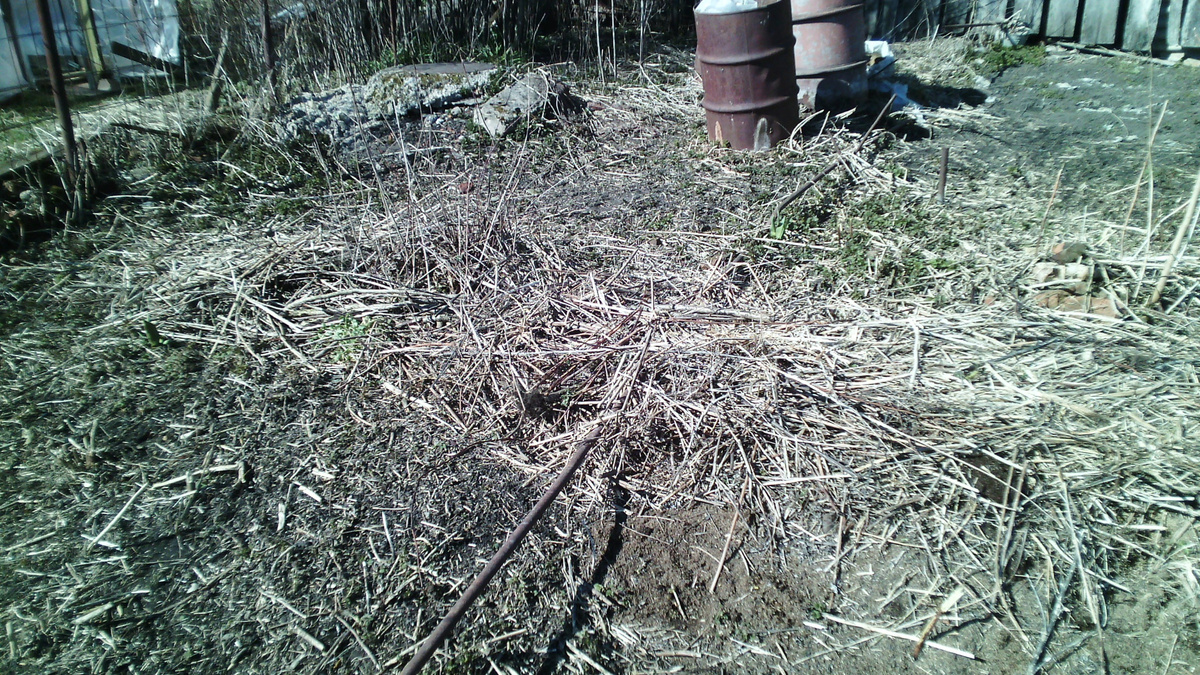 Поломанный бурьян и ветки заложены в основу грядки