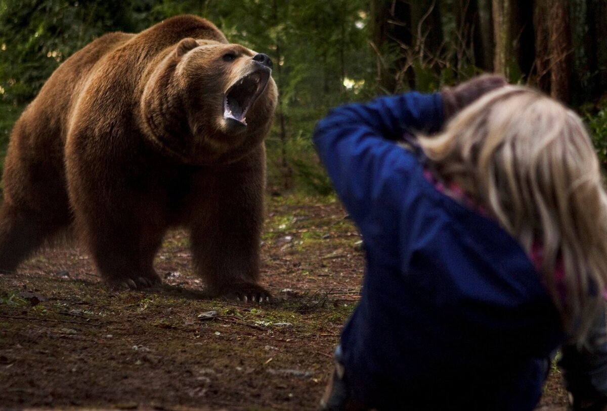 ужасы диких животных. ужасы диких животных. ужасы диких животных. ужасы диких животных. ужасы диких животных.