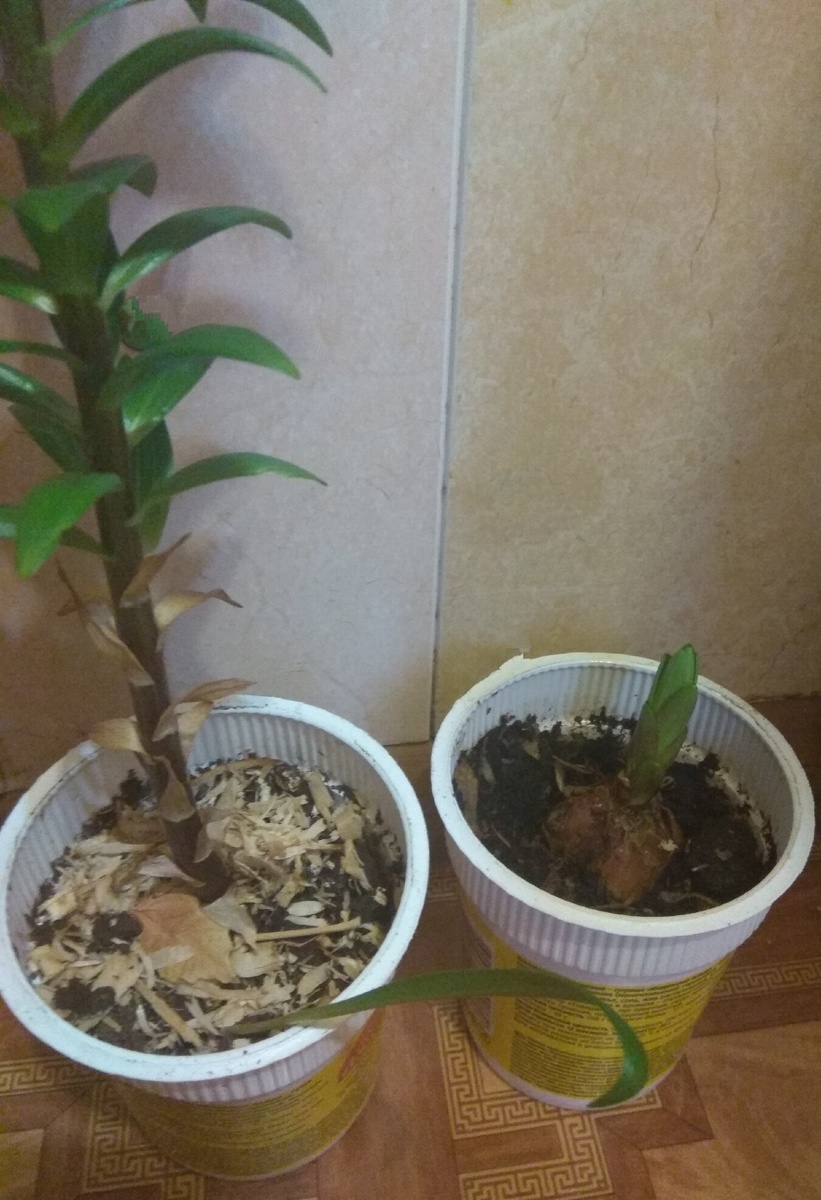 Вот разница