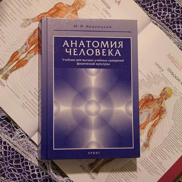 Из чего мы состоим