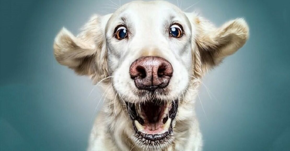 Картинка из интернета: https://avatars.mds.yandex.net/get-zen_doc/26916/pub_5dc93155089979742c12a93c_5dc93287dc9fec67cf65dcb2/scale_1200