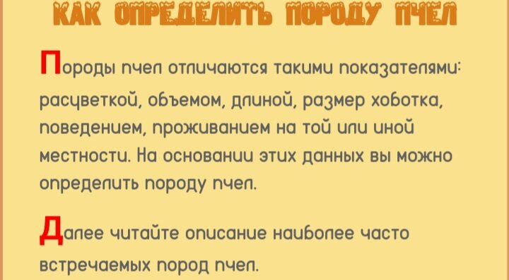 Как определить породу пчел.