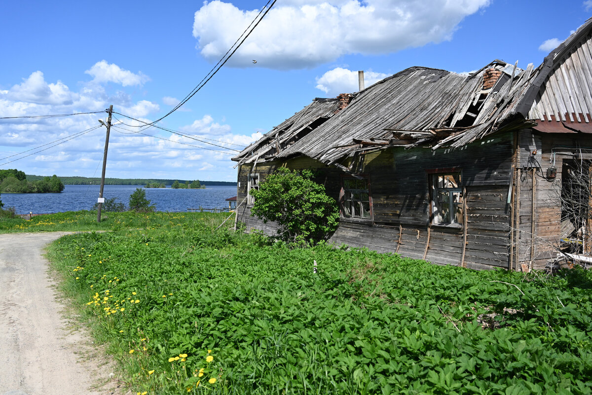 Место для глухой деревни. Важинская Пристань деревня. Важинская Пристань Карелия. Глухая деревня. Глухие деревни.