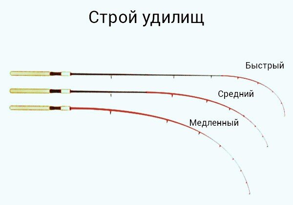 Строй фидерных удилищ.