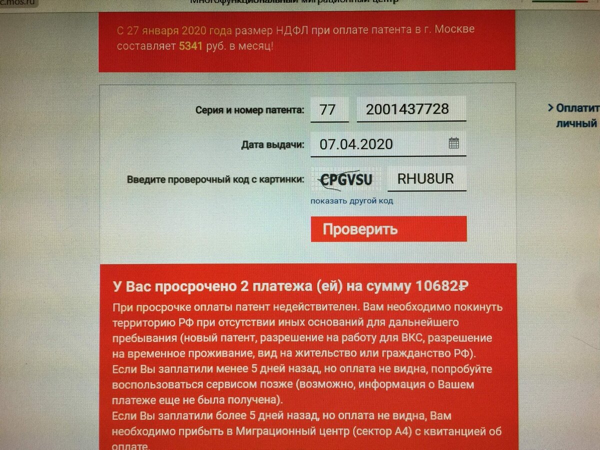 Кто из граждан СНГ обязан платить за патент, а кто нет и кому налоговая  сделает перерасчёт средств на следующий месяц | БЕШЕНЫЙ ОФИЦИАНТ | Дзен