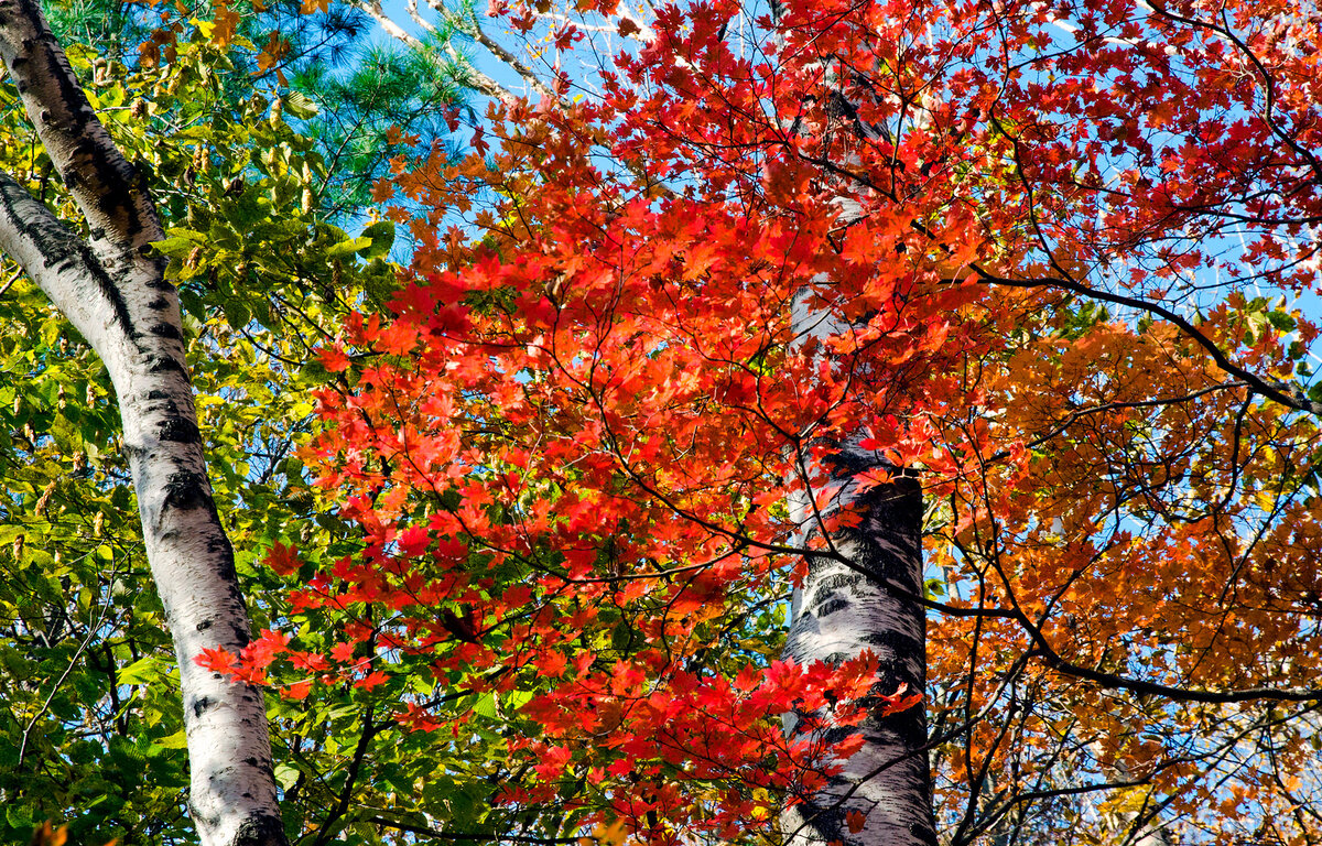 Фото: Виталий Берков