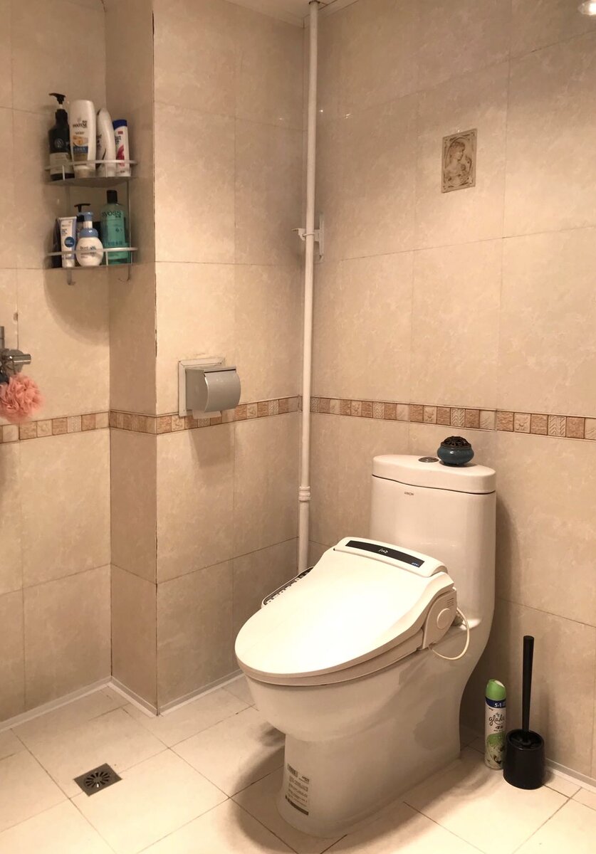 В квартирах, обычно привычный нам "белый друг"- но во всех.