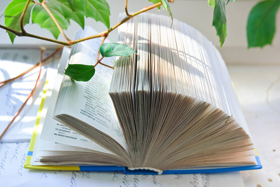 Фото автора©