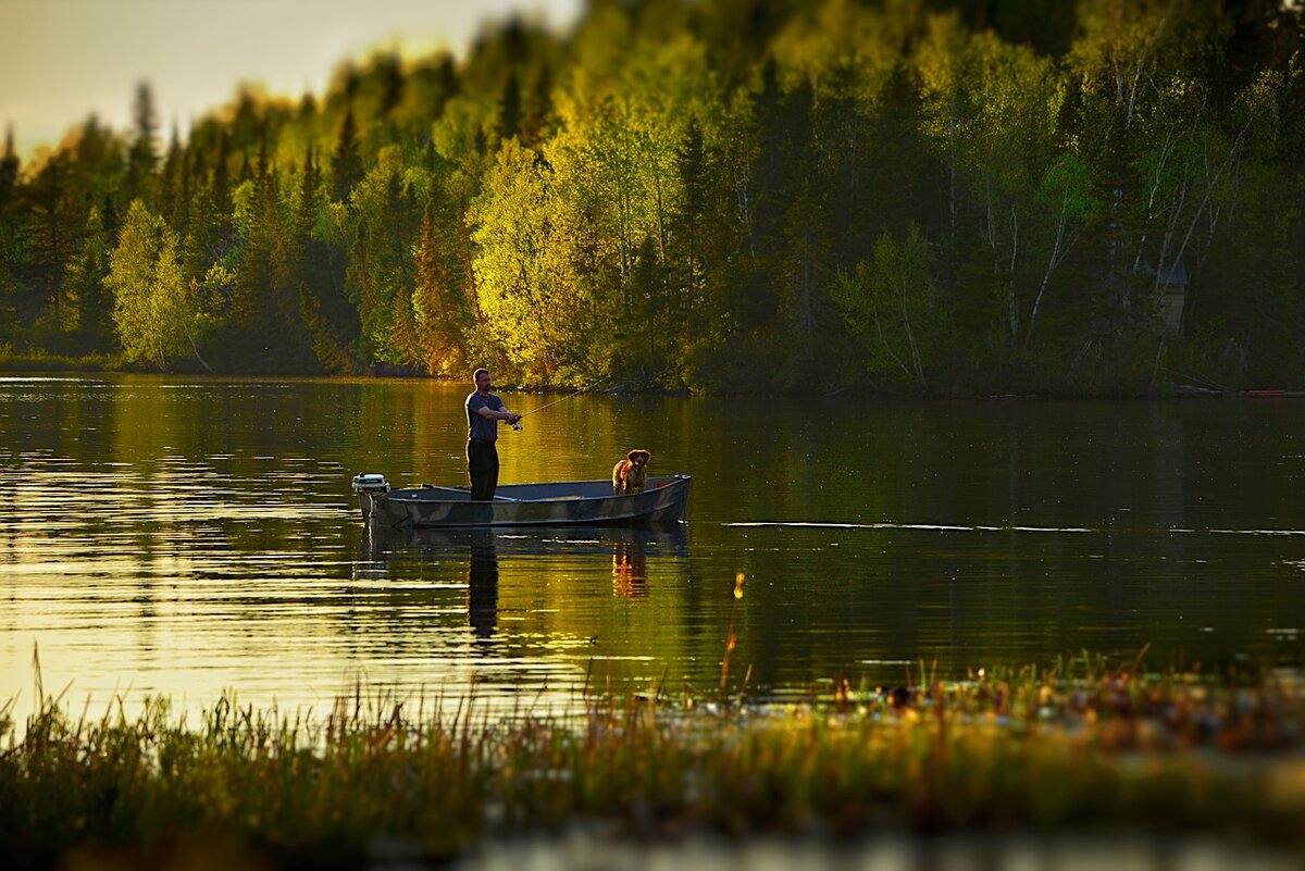 Рыбак на озере, фото https://pixabay.com/ru/