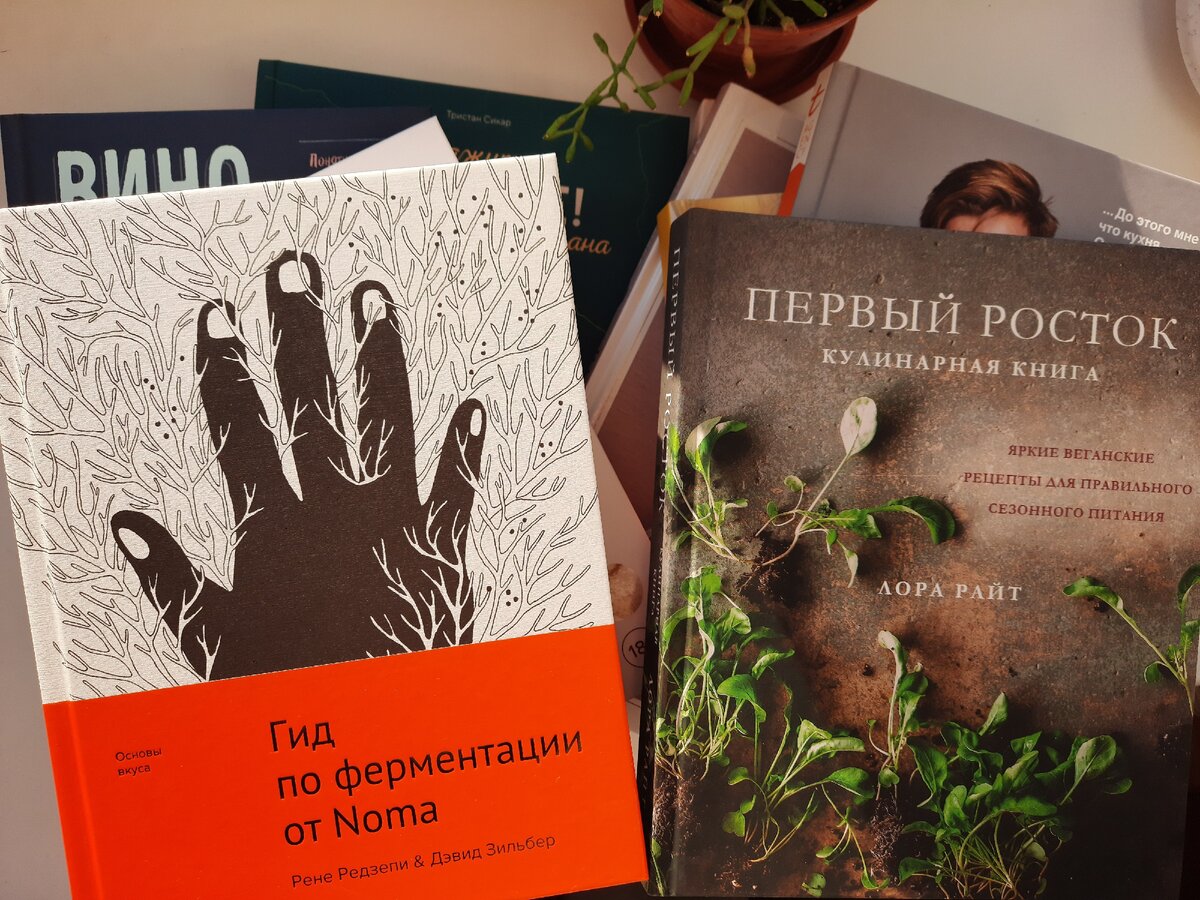 15 хороших книг про еду, которые вышли в 2020-м | Вечерний Лошманов | Дзен