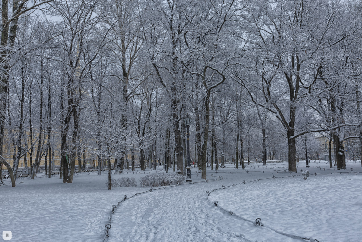 Фото Александра Дроздова