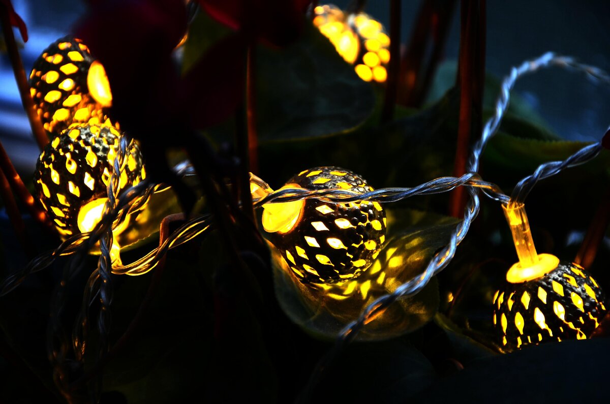 Фото из личного архива автора