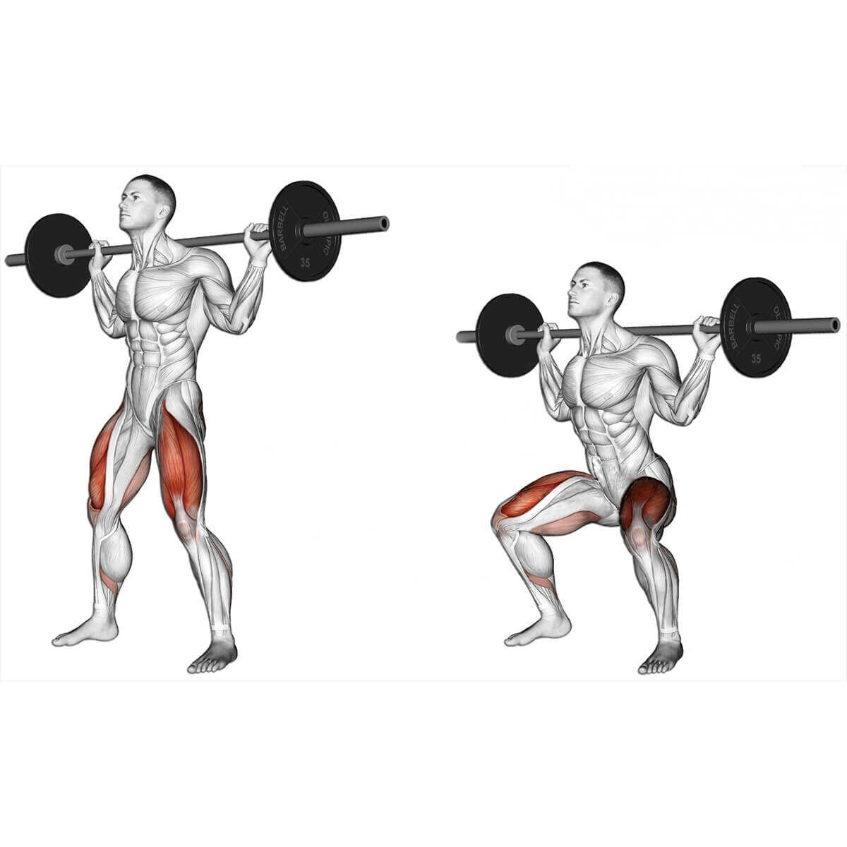 изображение взято из открытых источников сети интернет