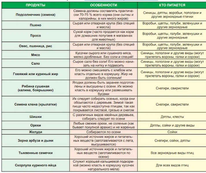 Фото: veterinarian.hozvo.ru
