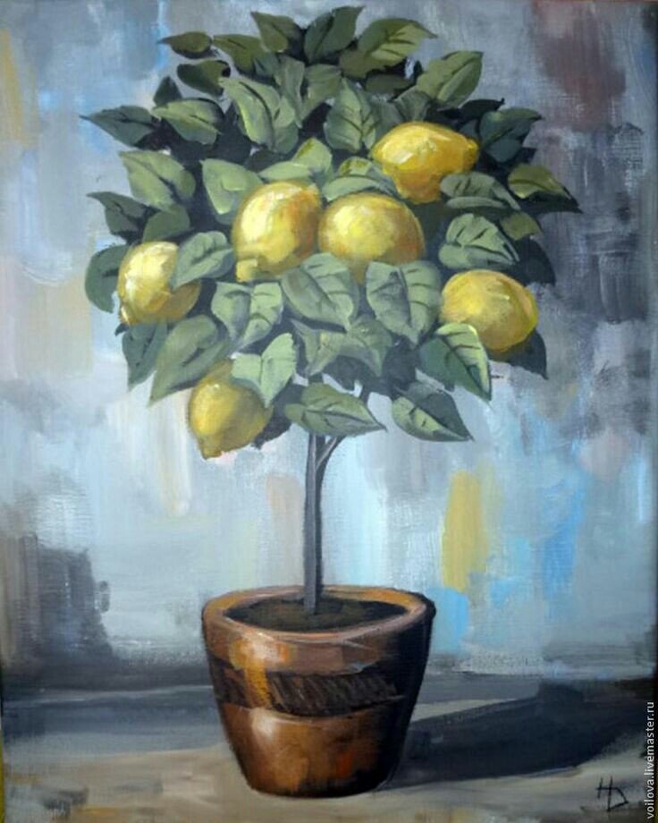 Фото из интернета