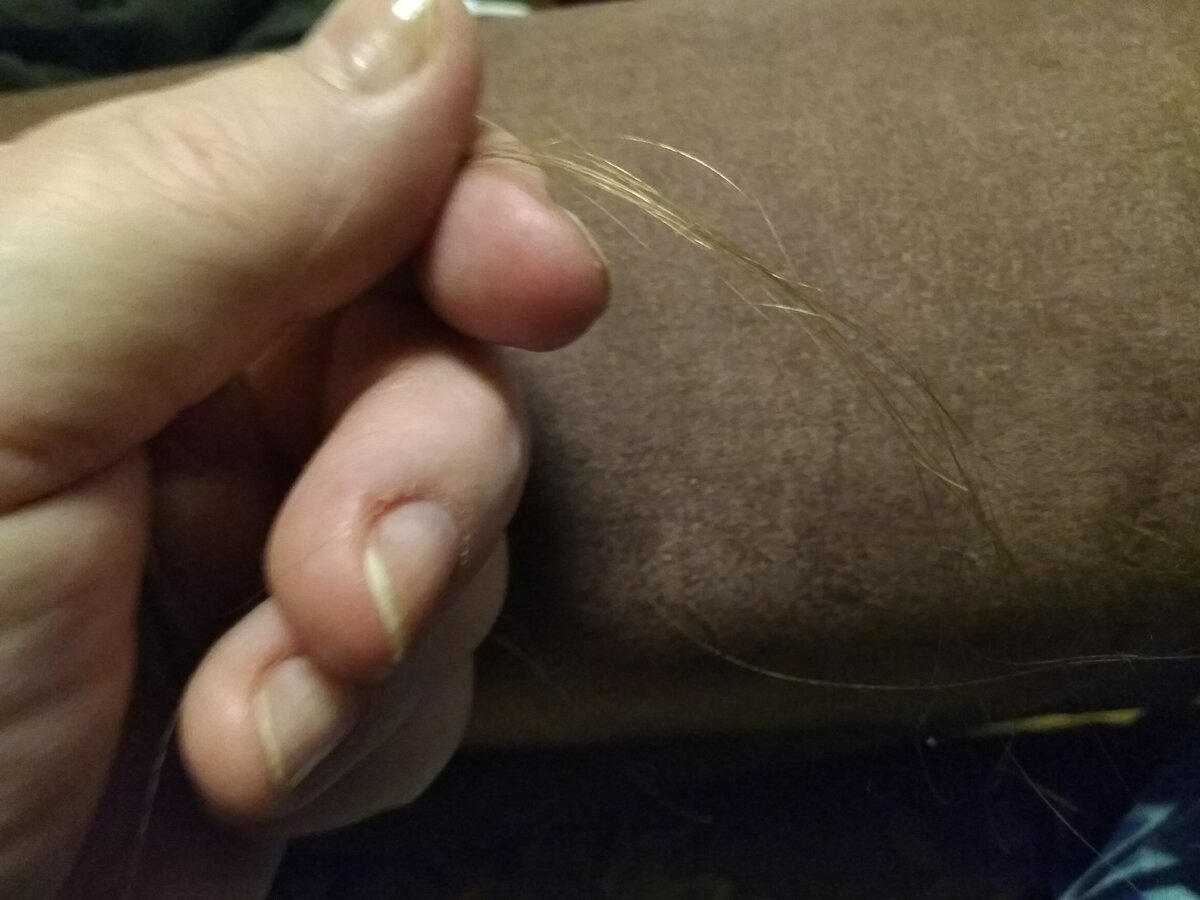 Фото автора. Просто провела рукой по волосам. И так несколько раз в день...