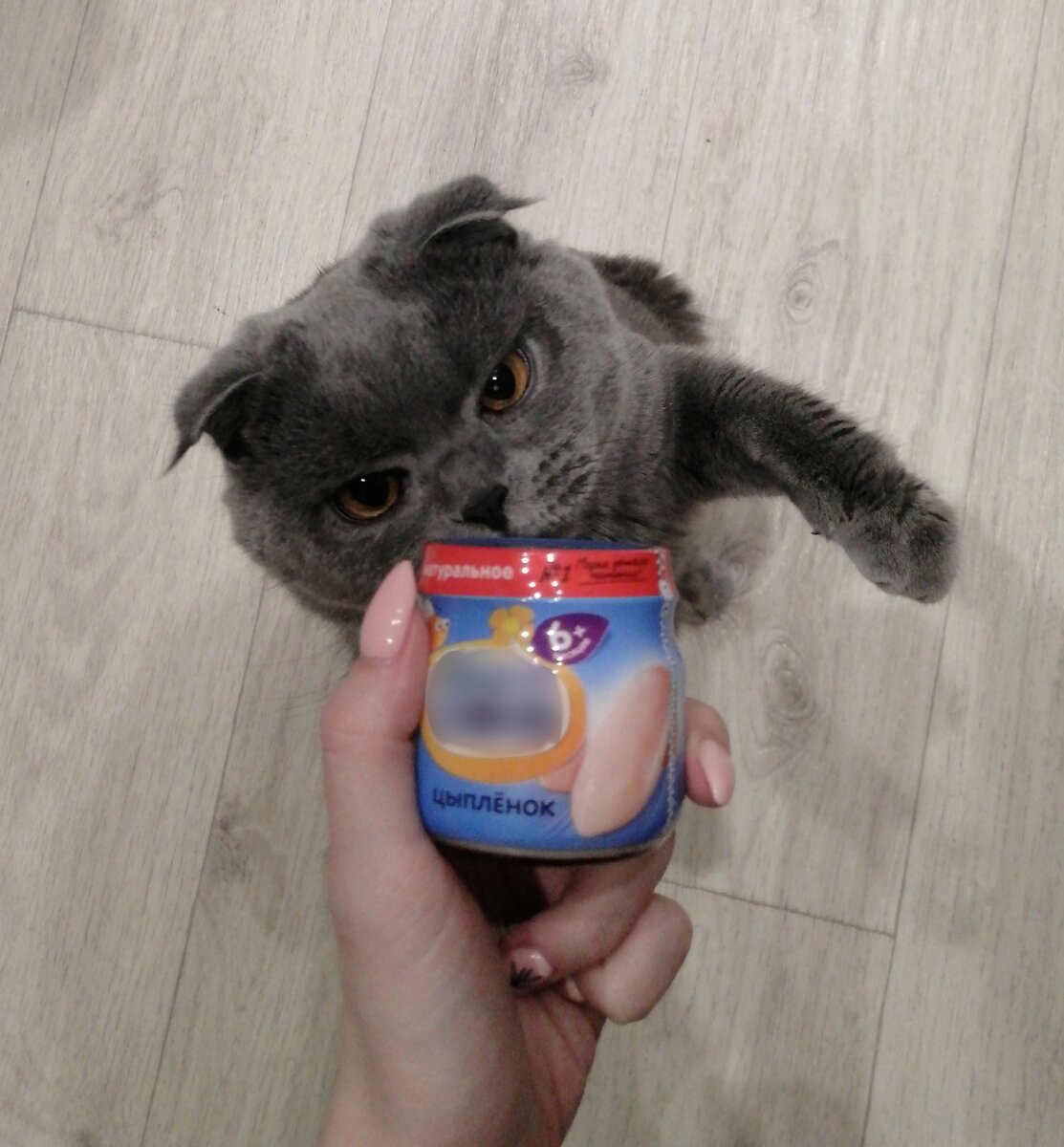 Сёма обожает детское куриное пюре