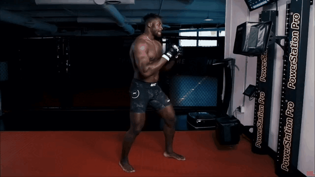Боец UFC Френсис Нганну сумел сгенерировать рекордную максимальную силу удара в 1,3 тонны. Данный результат стал самым максимальным из всех протестированных людей на планете.