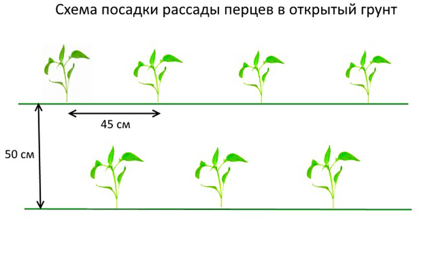 Что такое схема посадки