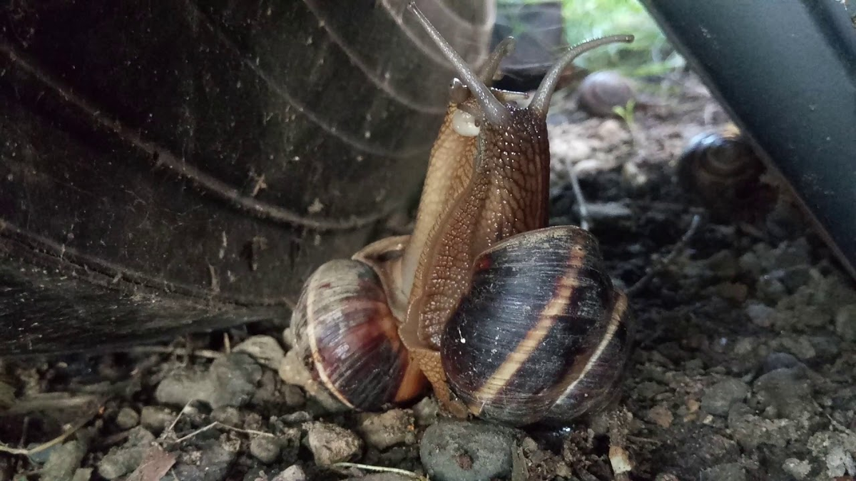 — Давай сделаем это в машине? 
— А давай под ней?