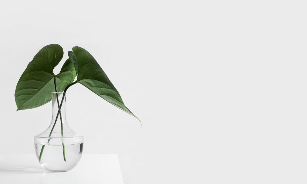 Фото: Sarah Dorweiler/Unsplash