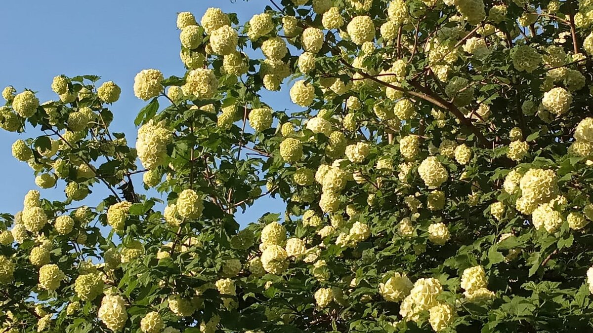 Фото Елены Лабо