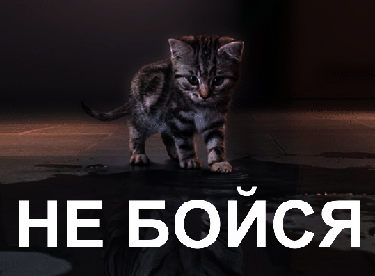 Рыжик