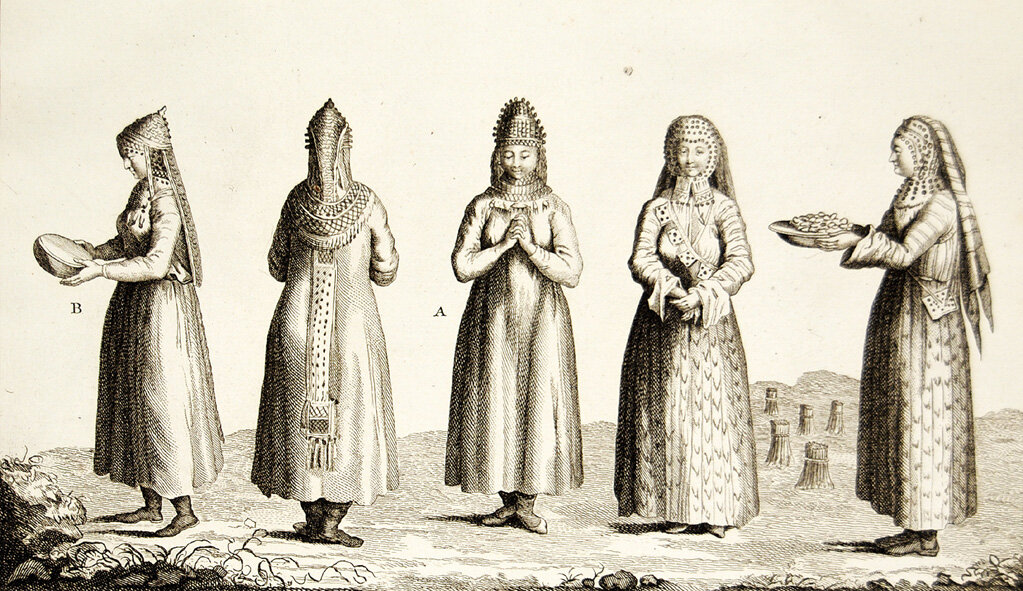 Мещерячки по гравюре Палласа      фото взято с сайта https://clck.ru/VGLwY