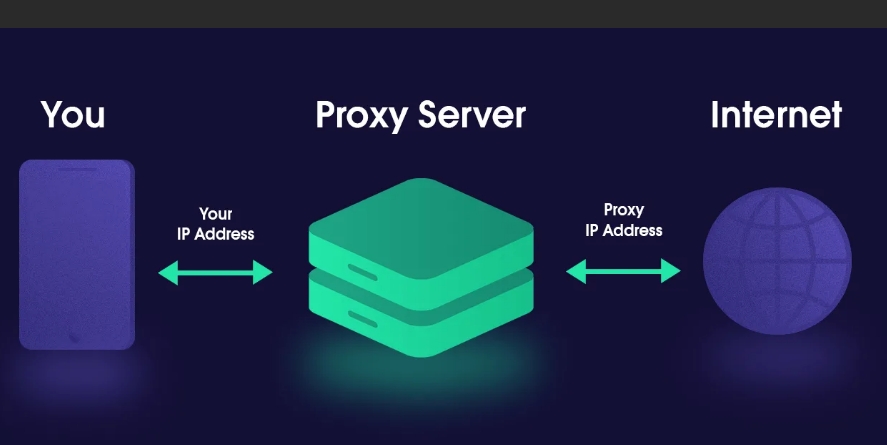 Фотография взята из источника yandex.ru