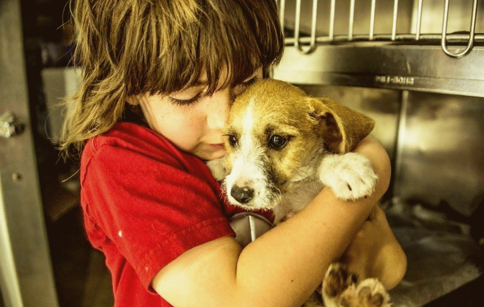 Подписывайтесь на канал и ставьте лайки. 