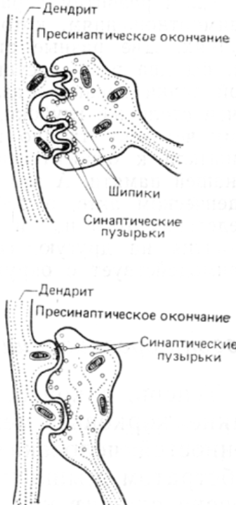 Кончают внутрь + Толстушки порно видео – dentpractice.ru