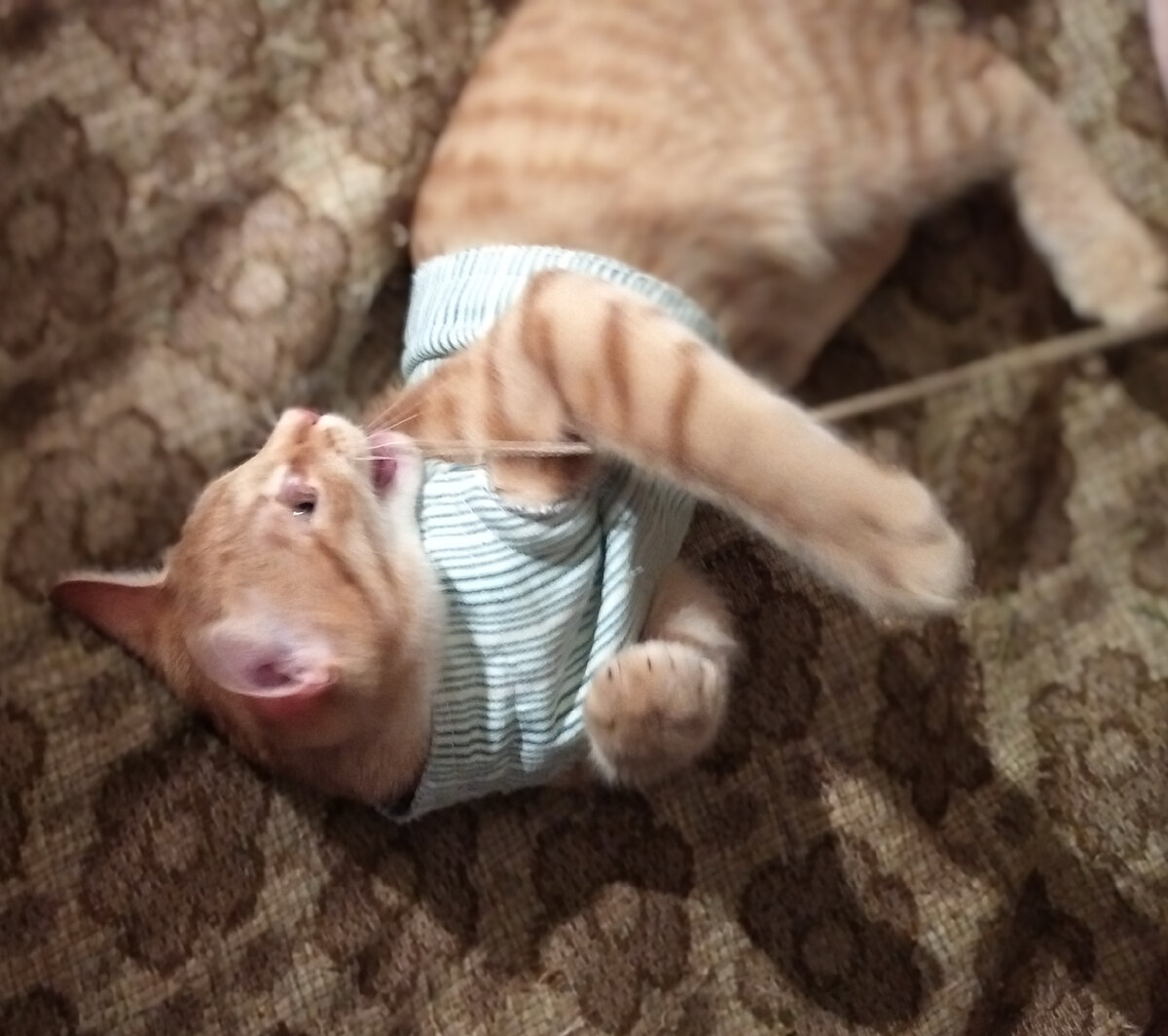 Личное фото.