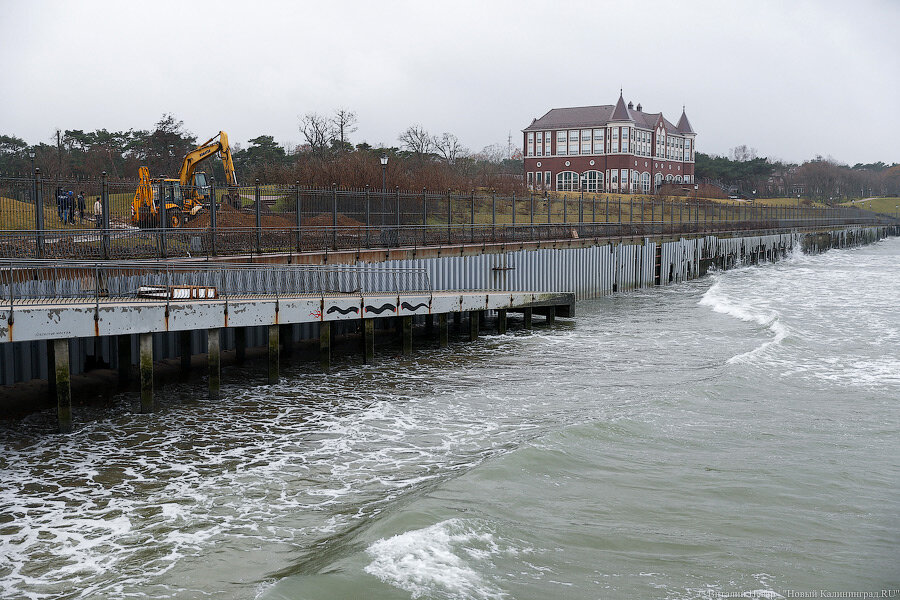 Фото: Виталий Невар / Новый Калининград