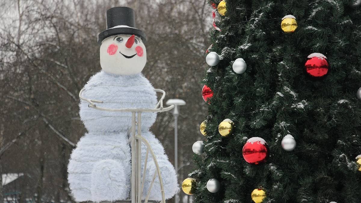    Фото: Анастасия Кочеткова / Вечерняя Москва