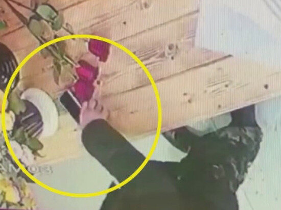     Фото: видеокадр/ ГУ МВД России по Саратовской области