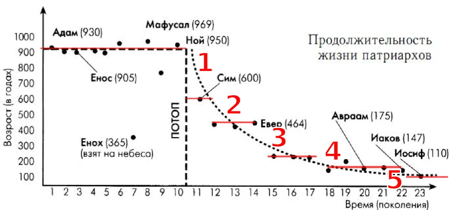 Сколько лет адаму. Сколько жили до потопа. Сроки жизни библейских персонажей. Продолжительность жизни людей до потопа. От Адама до потопа 1656 лет.